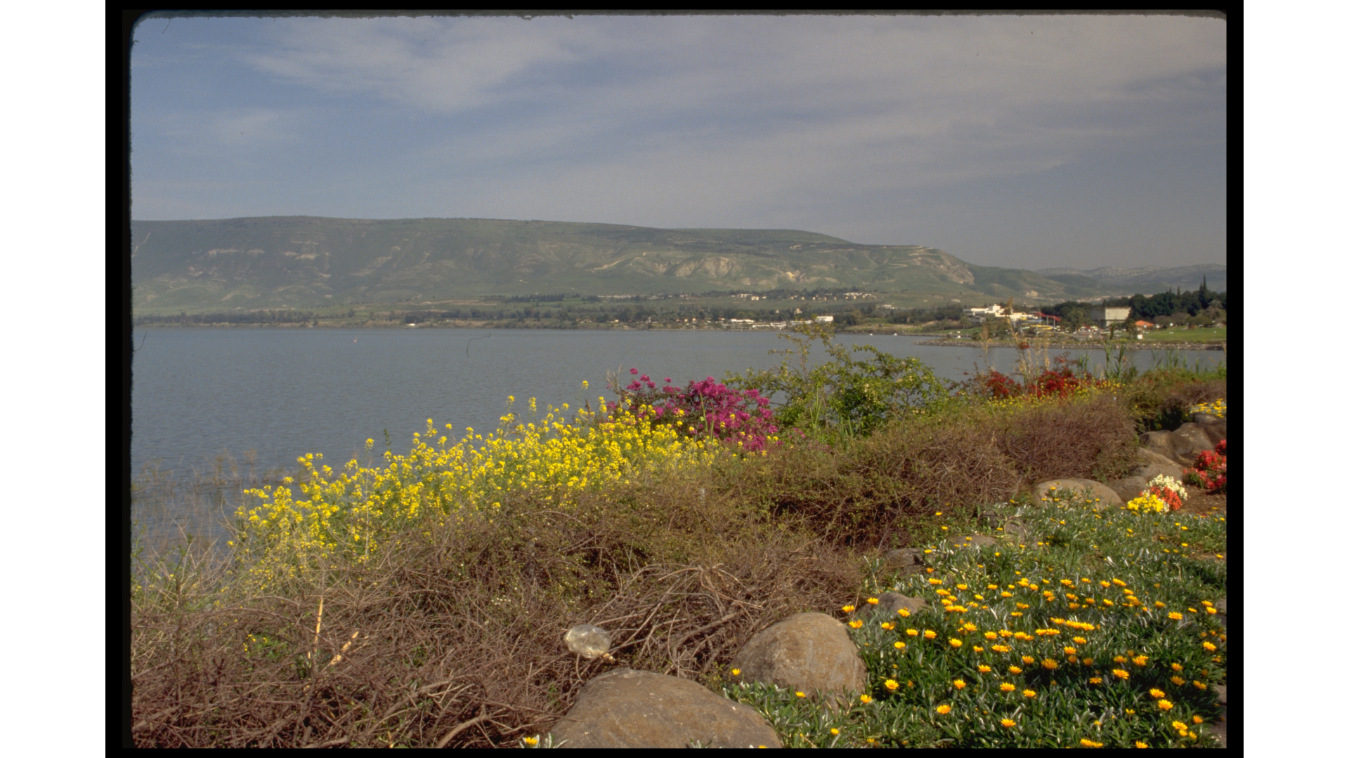 Terrain - Sea of Galilee 13