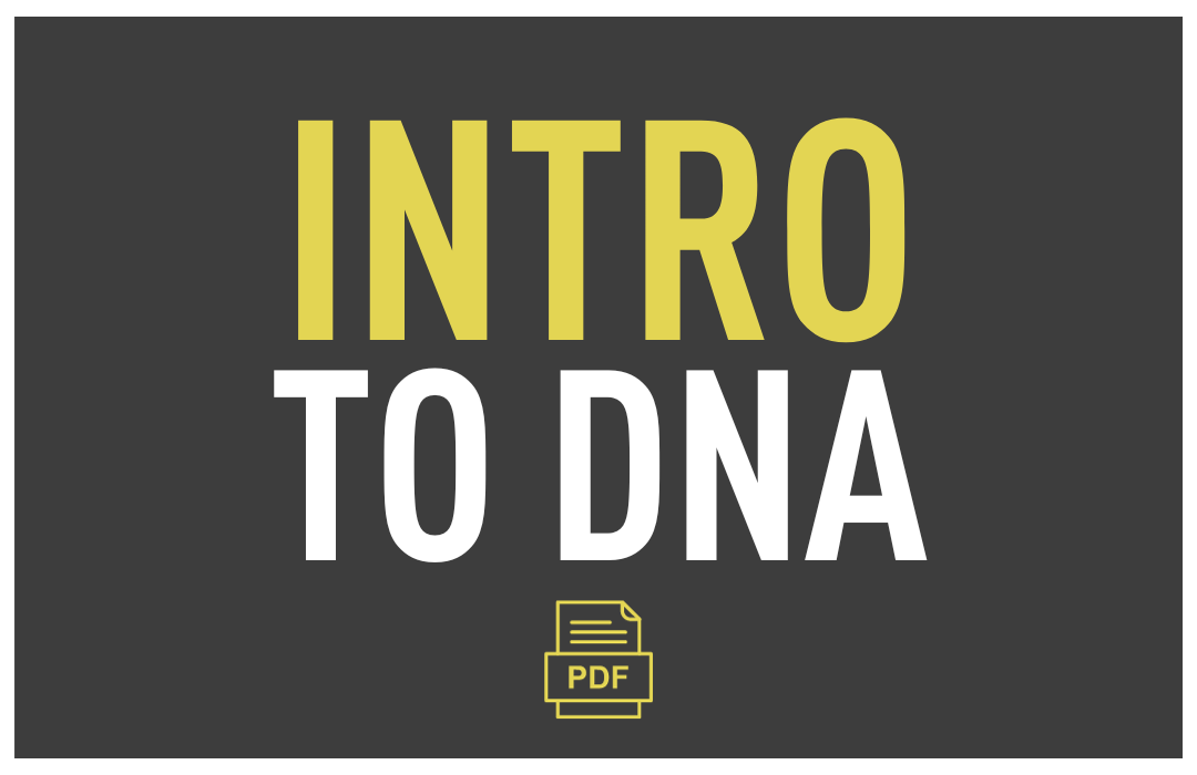 intro to dna