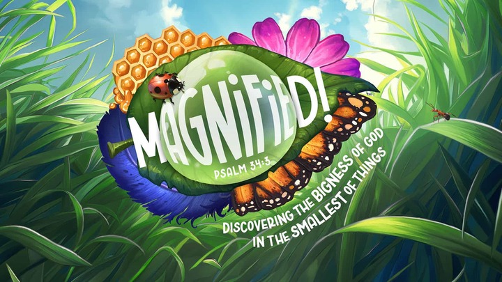 VBS 2025