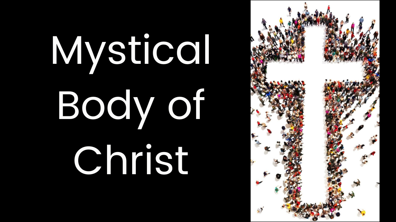 Mystical Body of Christ banner