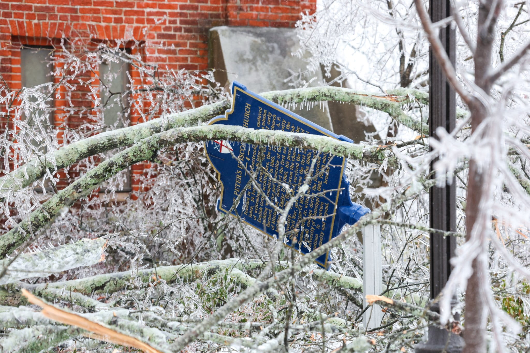 621629752_1332505662238320_4467533337095759612_n