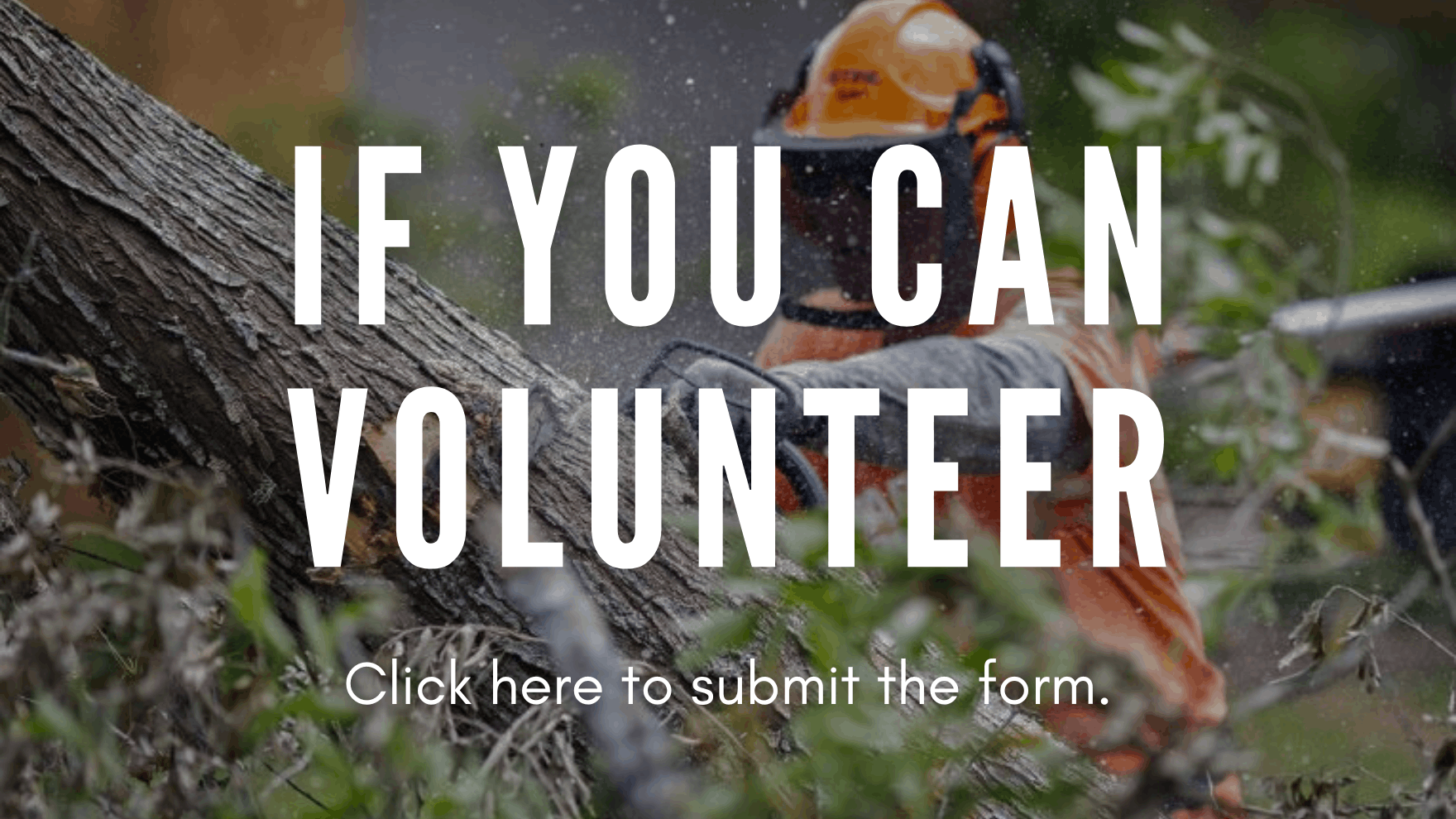 if you can volunteer header (1)