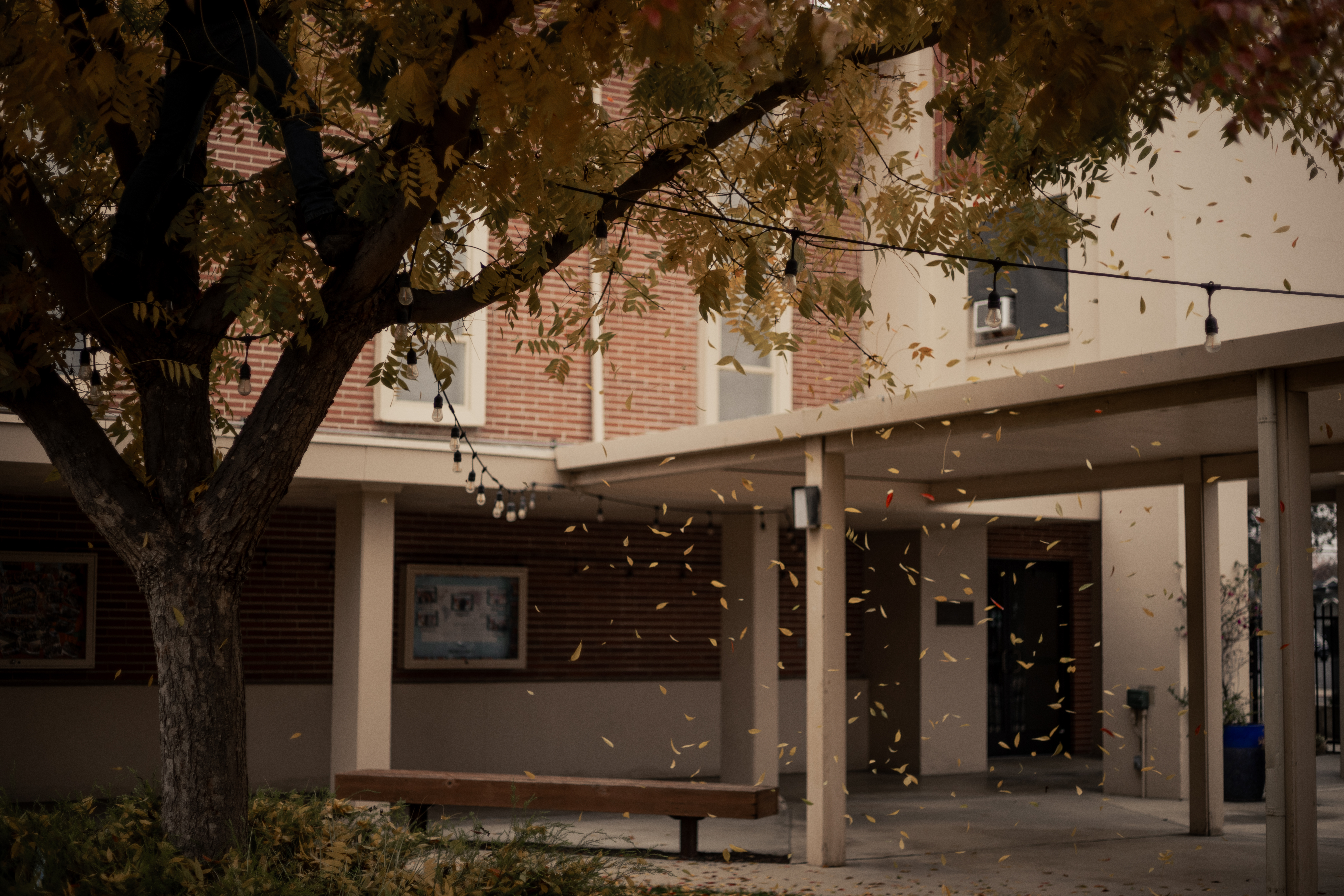 banner
