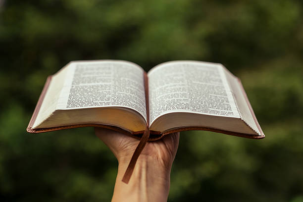 The Wonders of the Word of God image