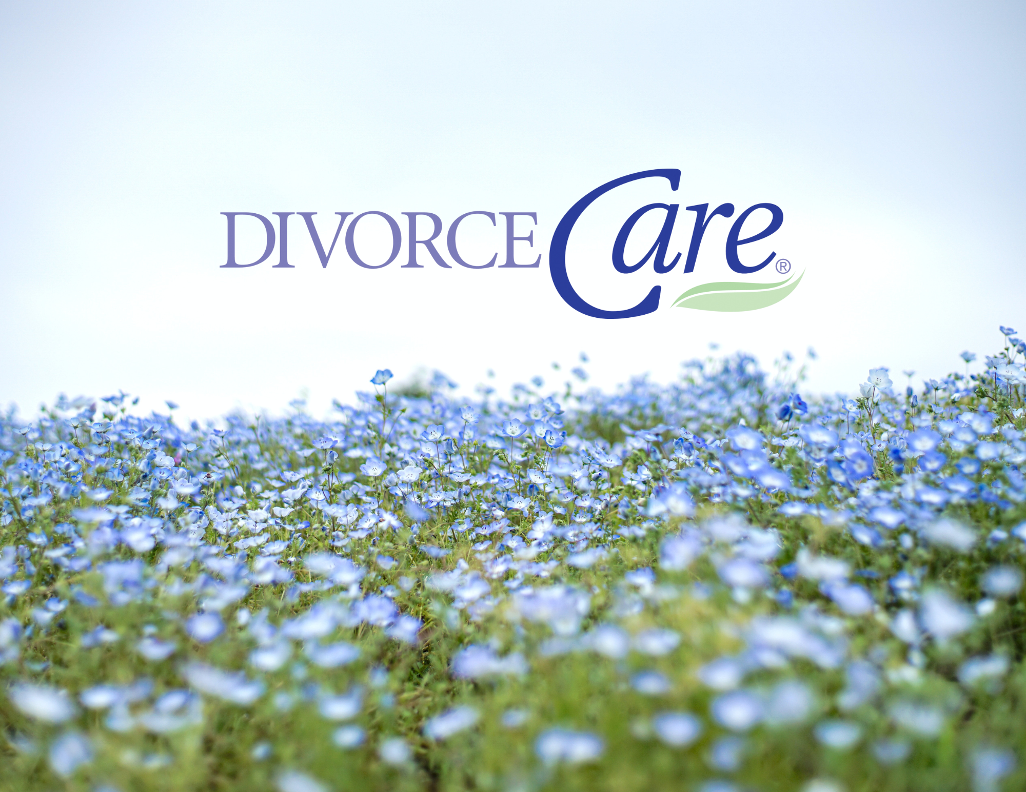 Divorce Care image