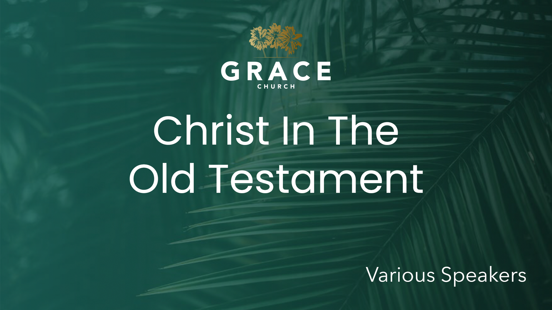 Christ In The Old Testament banner