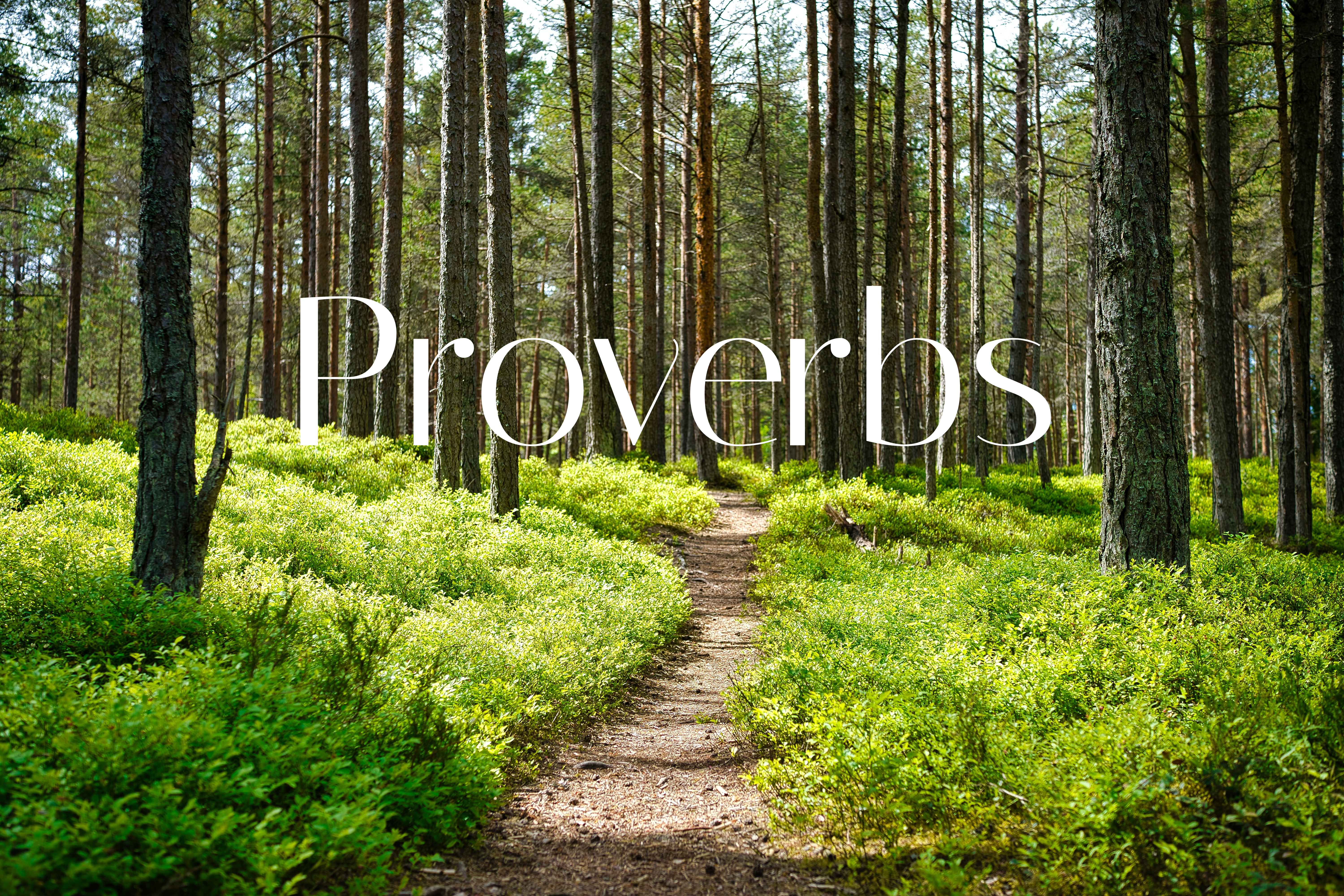 Proverbs banner