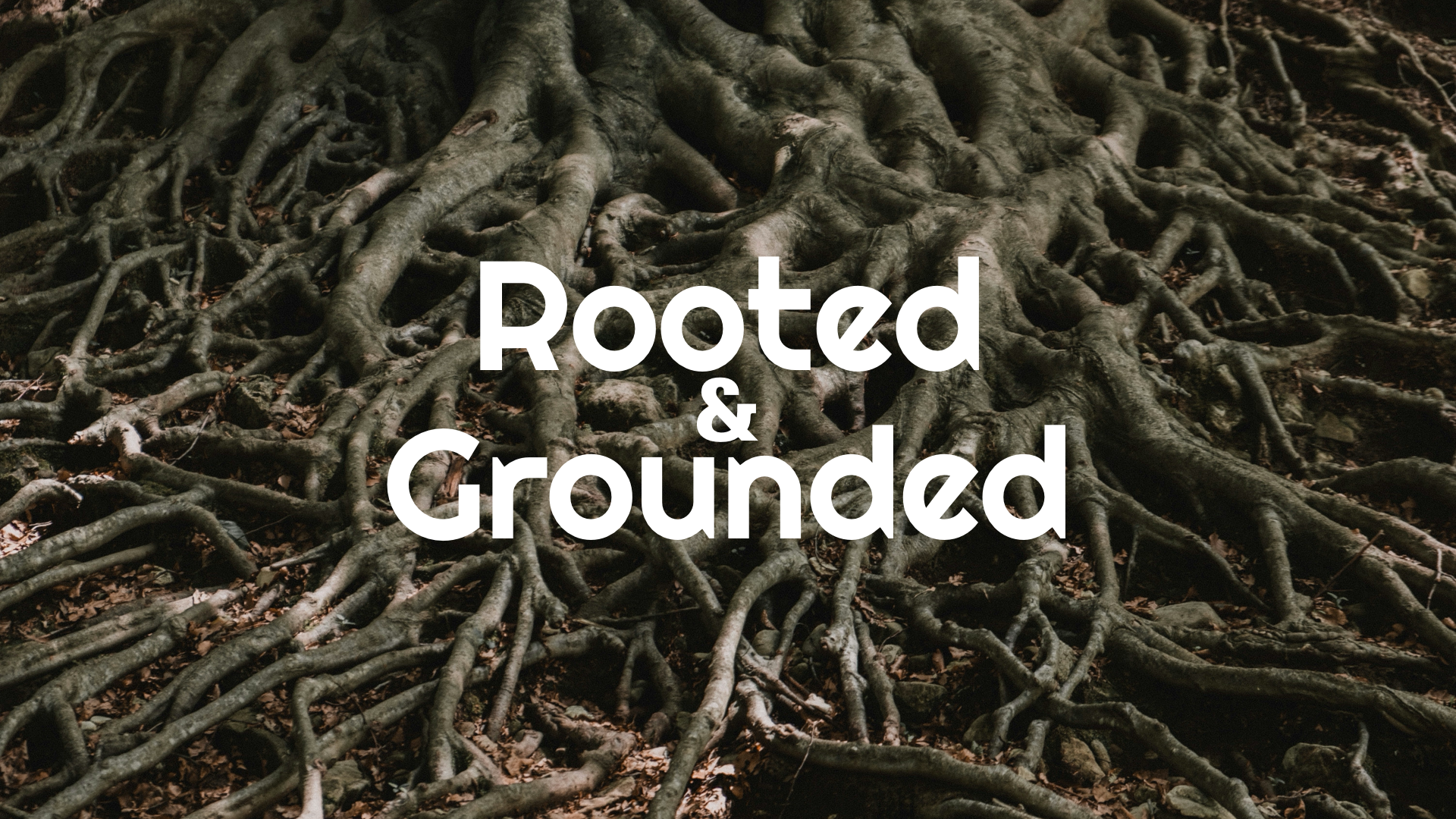 RootedandGrounded.PNG image