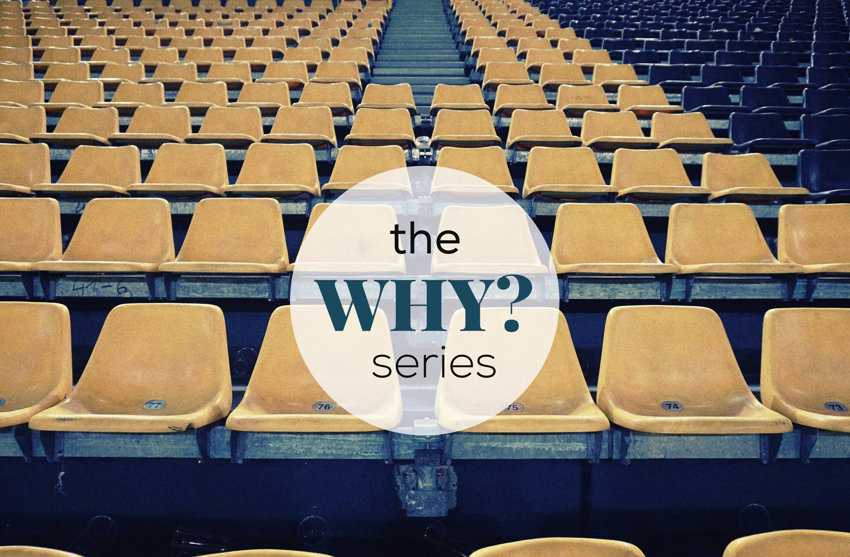 The Why Series banner