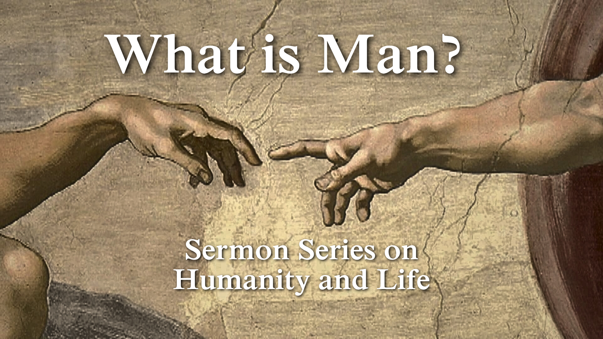 series banner image