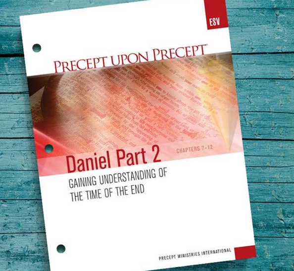 Daniel 2 precepts study image
