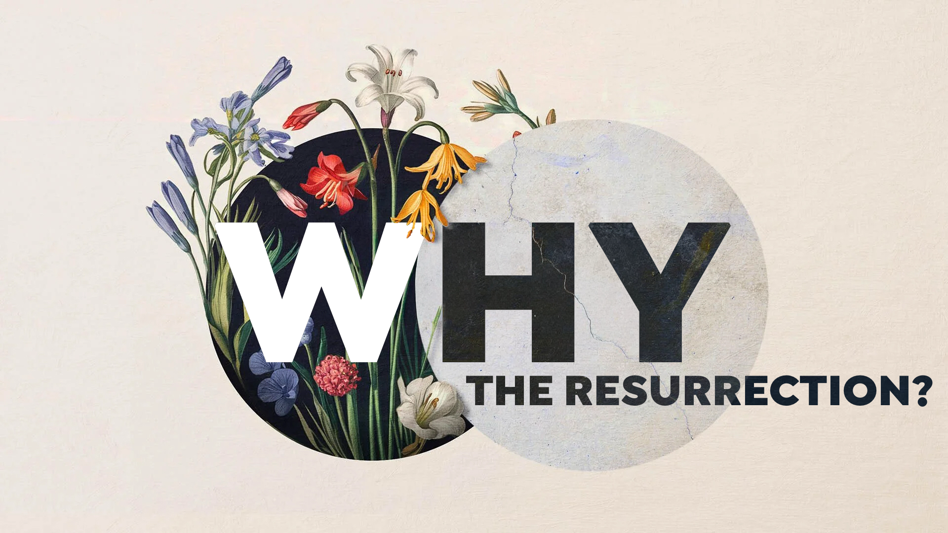 Why The Resurrection.PNG image