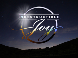 Indestructable Joy banner