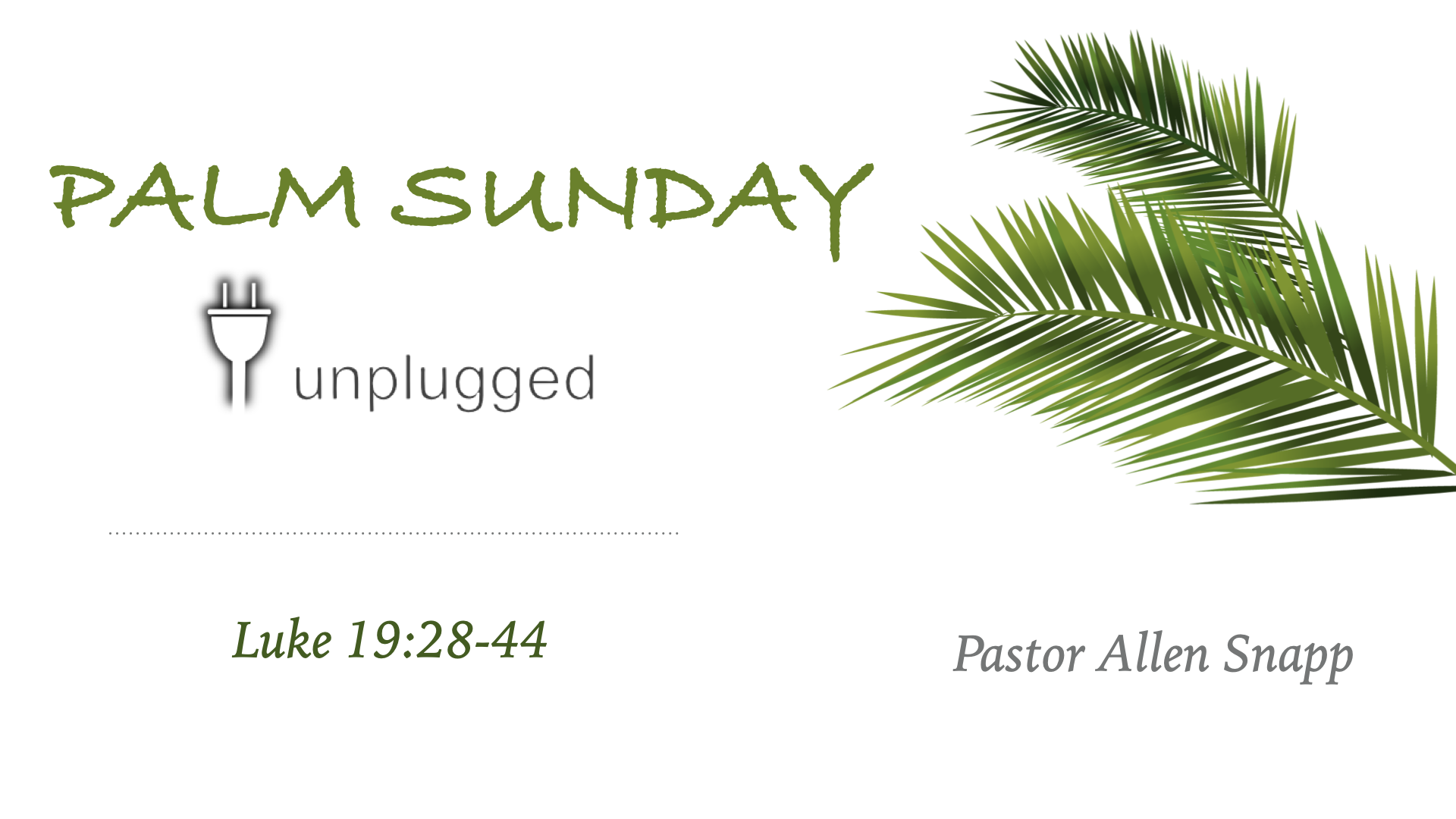 Palm Sunday Unplugged banner