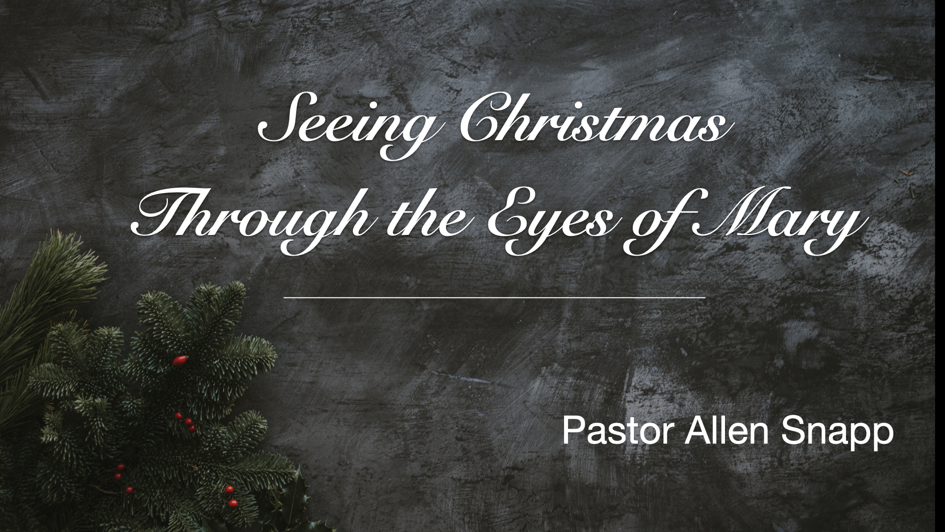 Seeing Christmas Through the Eyes of Mary banner