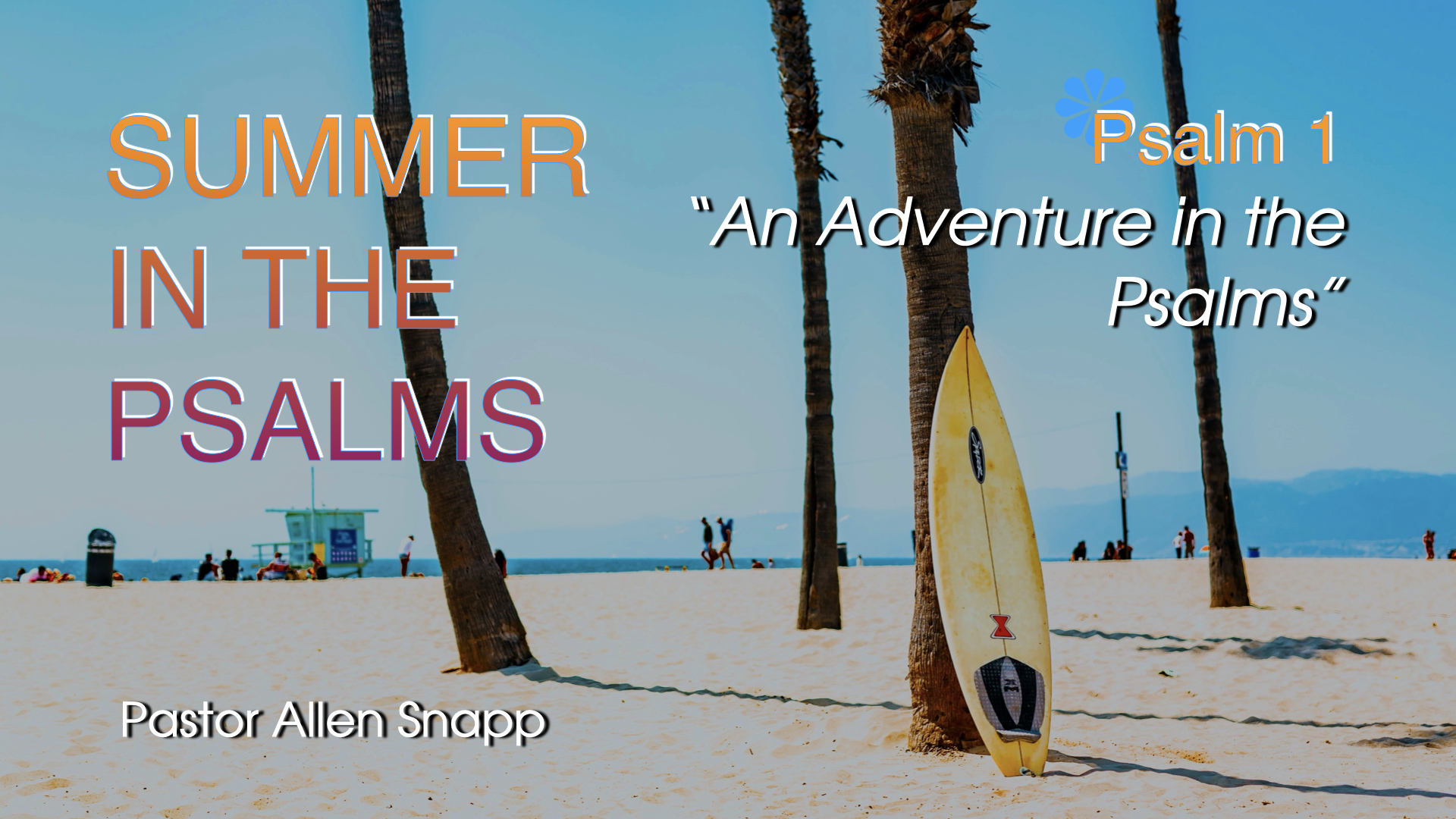 Summer in the Psalms 2025