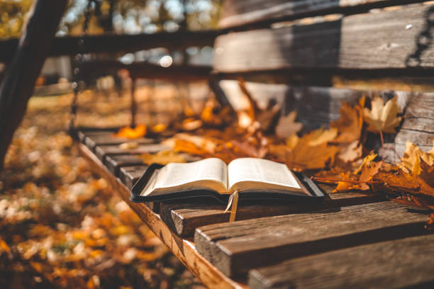 Adult Bible Study Book Bench image