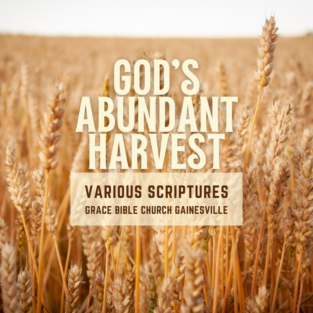 God’s Abundant Harvest banner