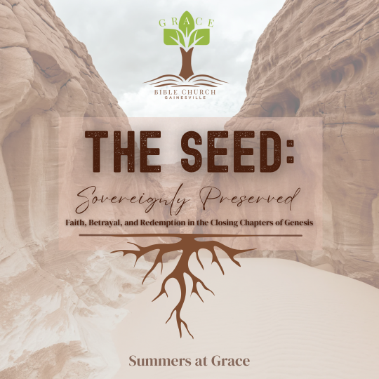 sermon series image