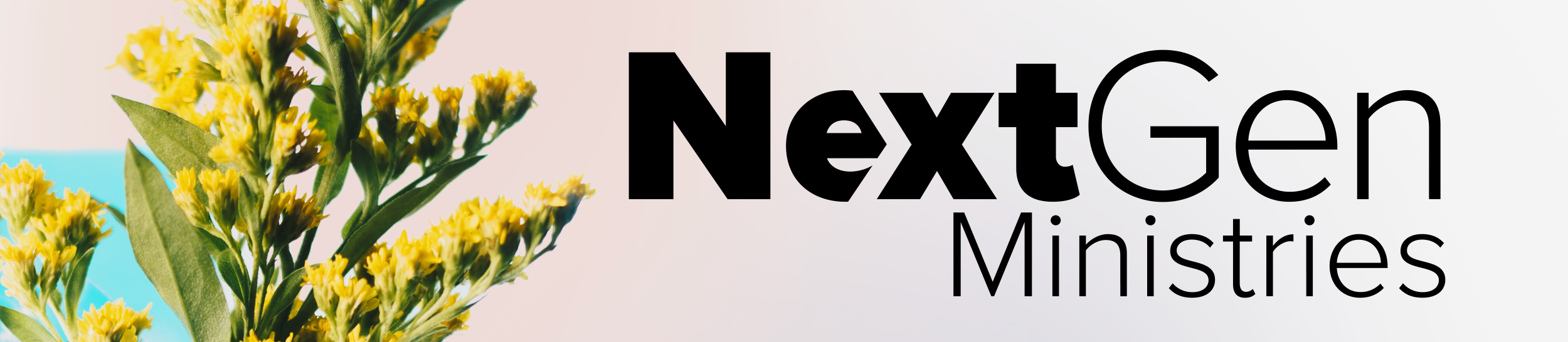 Easter NextGen web