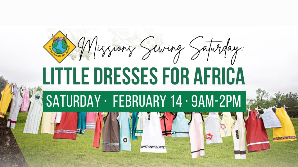 Little Dresses 021426