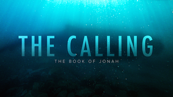 The Calling image