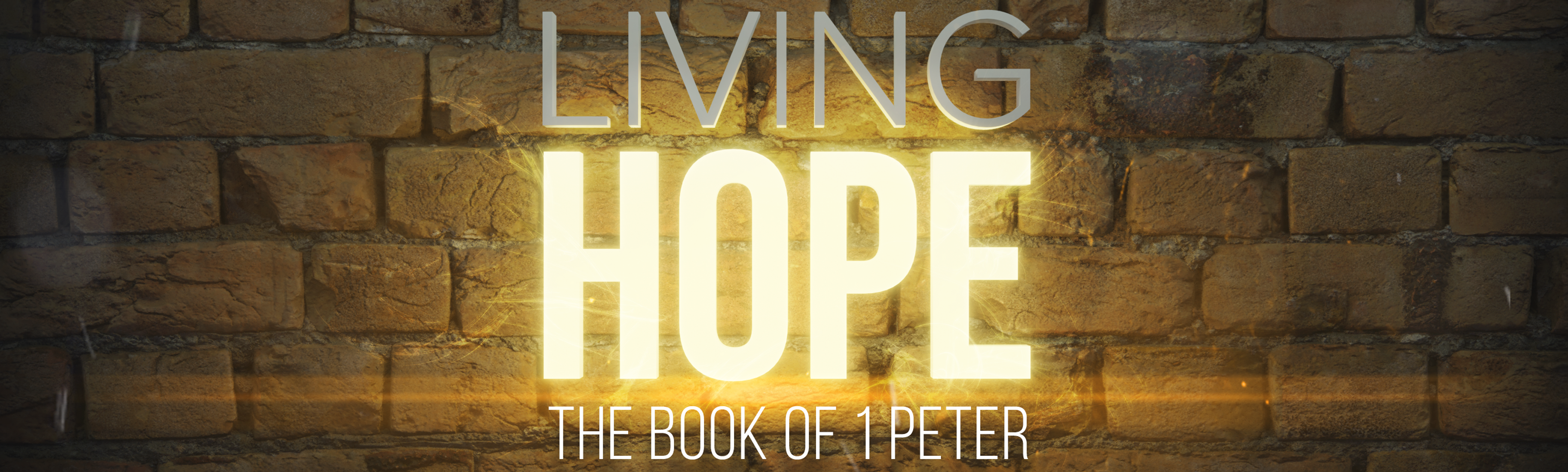Living Hope banner