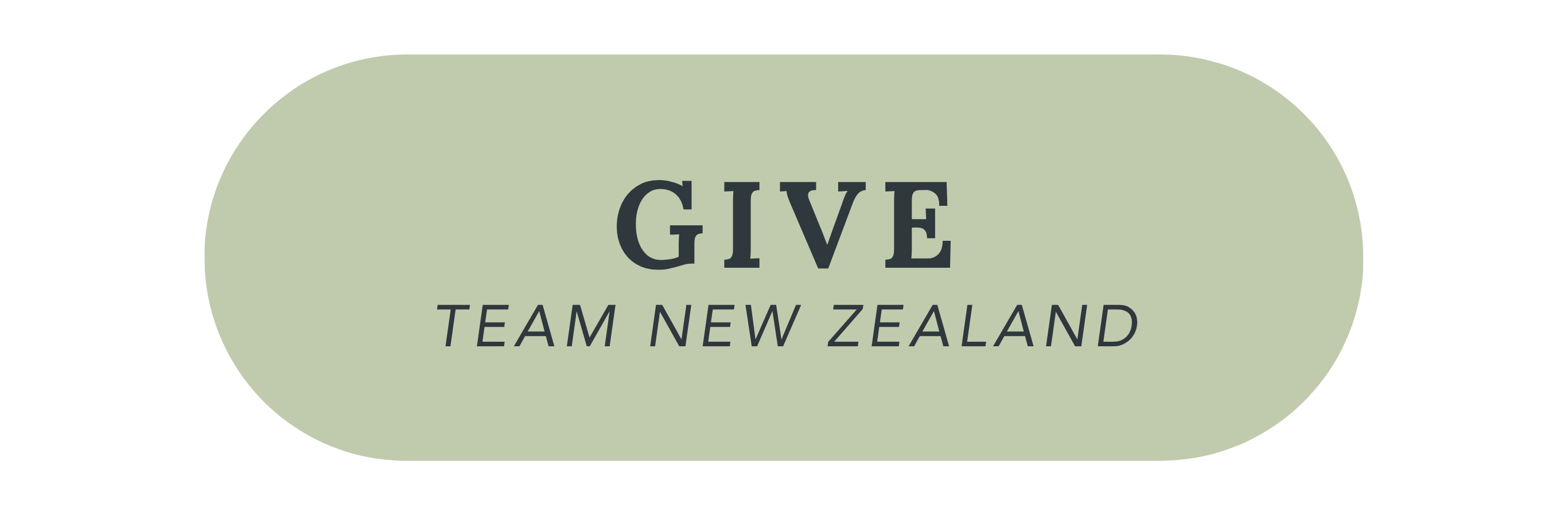 260707 Team NZ Button