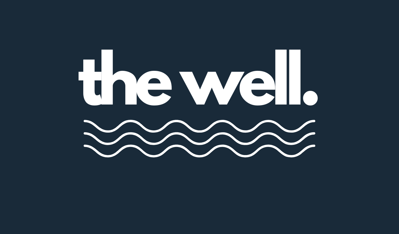 The Well image