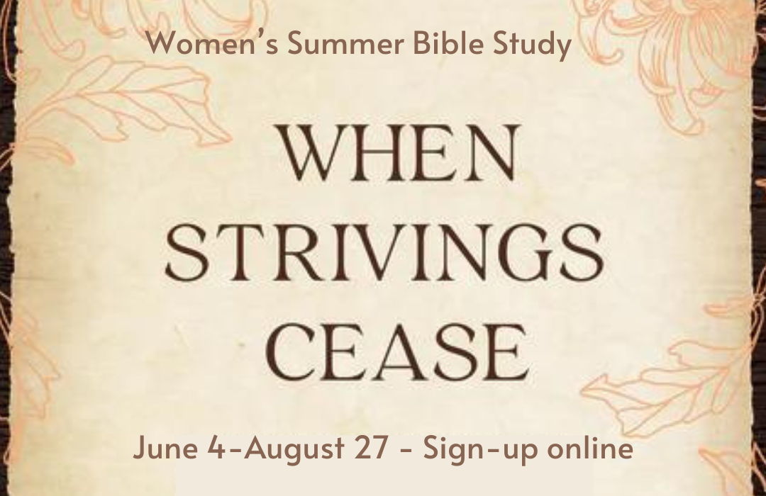 Women’s Summer Bible Study 24 (3)