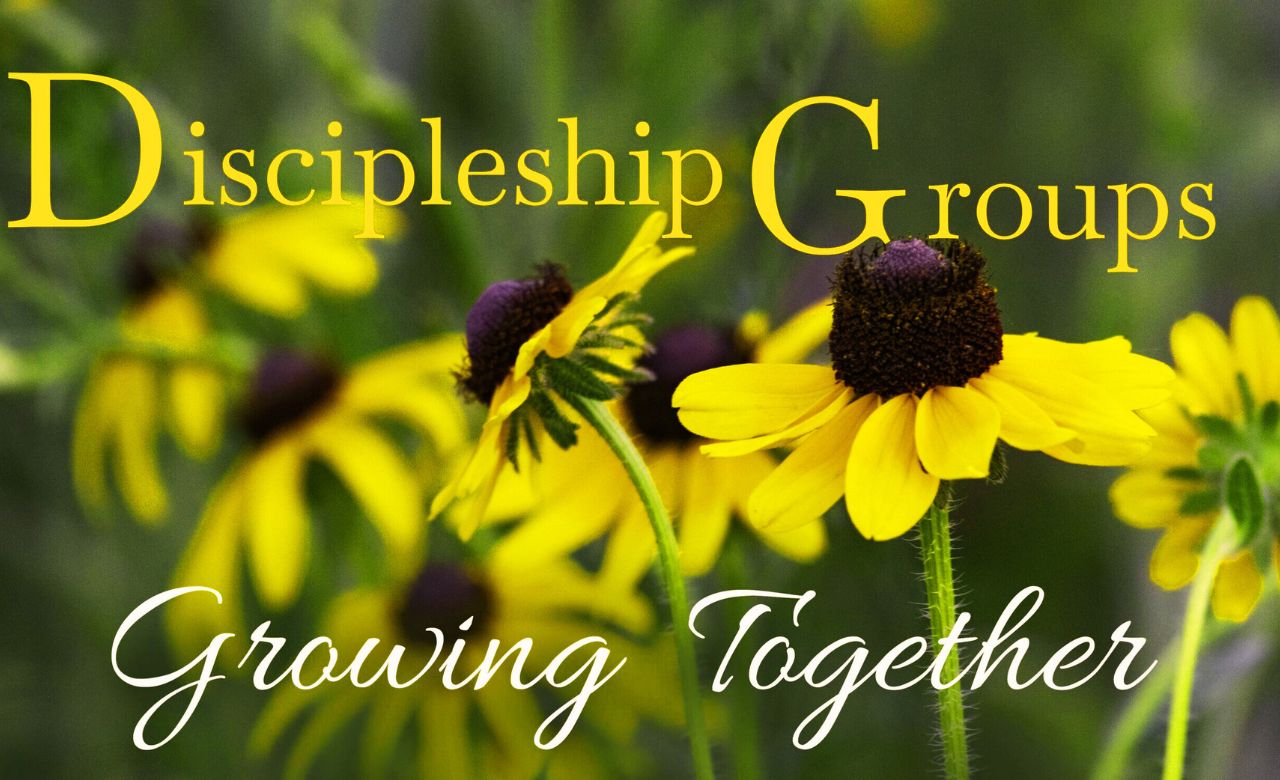 Discipleship Groups web image