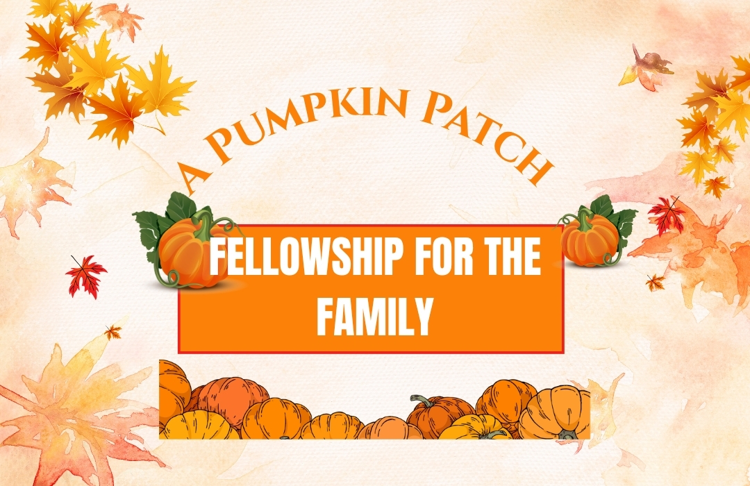 Pumpkin Patch for web