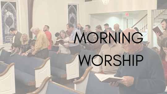 Screenshot 2026-02-02 at 11.59.20 AM image