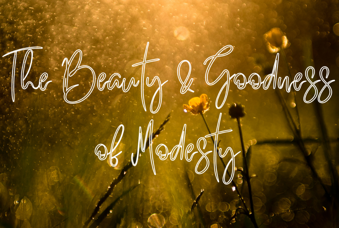 The Beauty & Goodness of Modesty banner