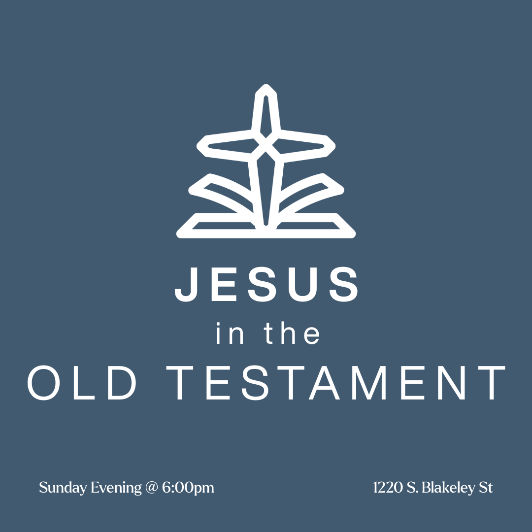 Jesus in the Old Testament series image