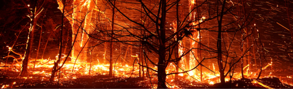 2025 Fire Relief