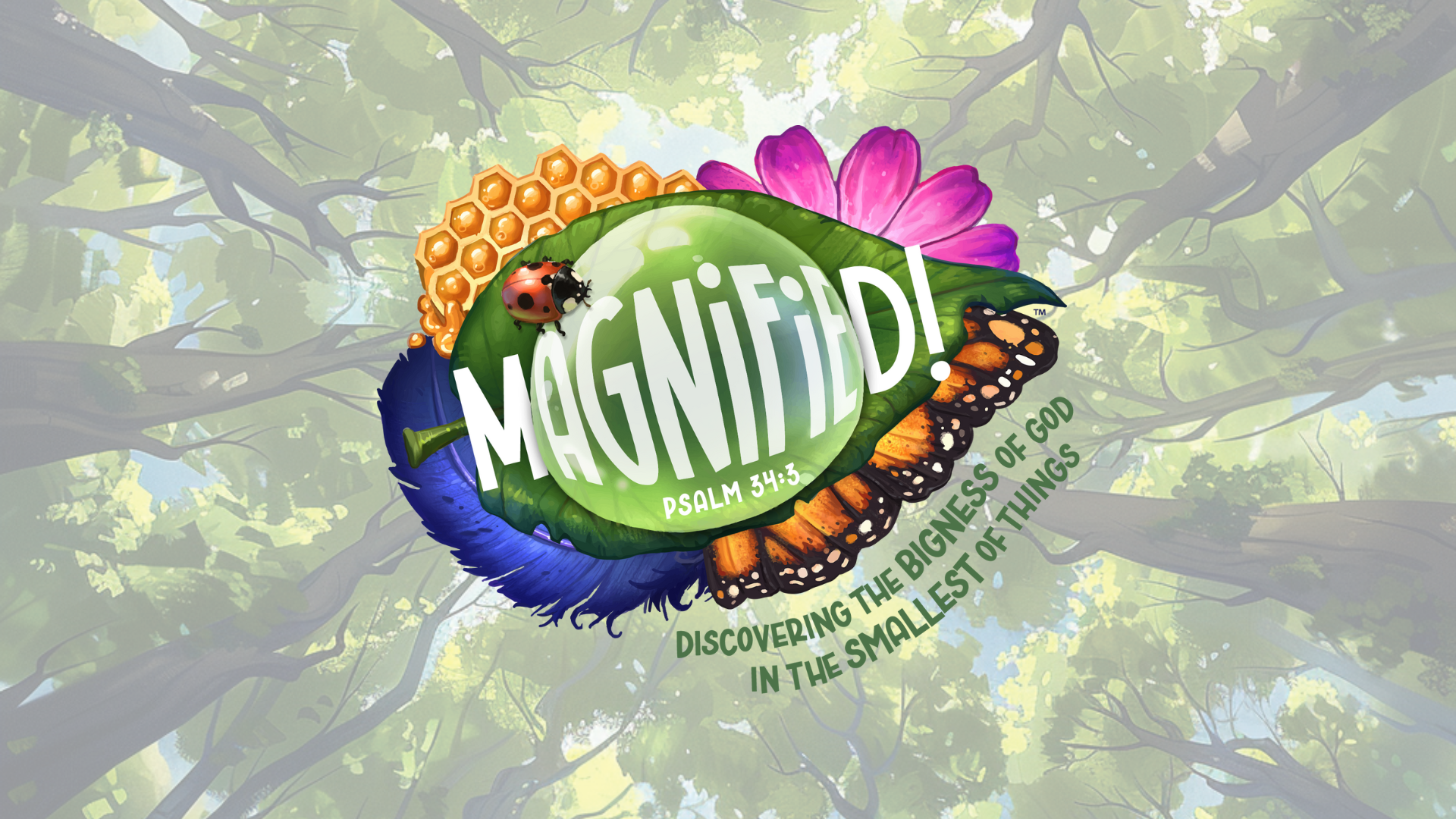VBS 2025 image