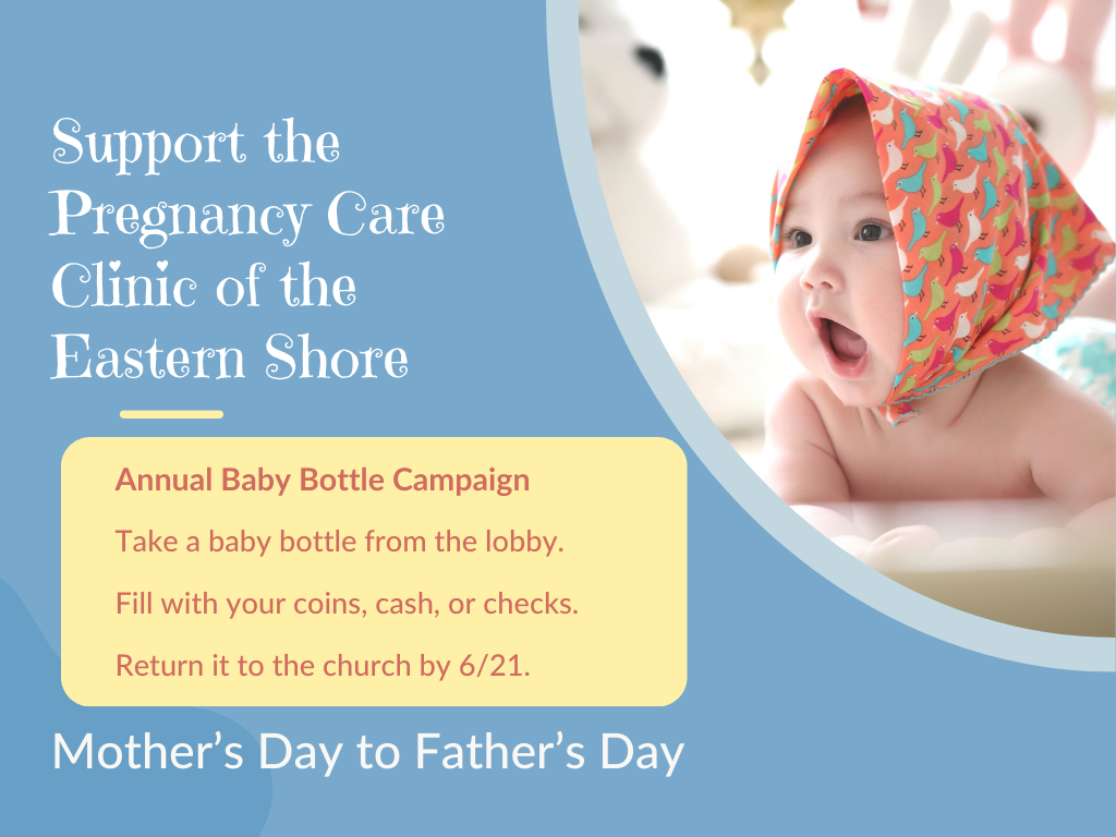 Support the Eastern Shore Pregnancy Center (1024 x 768 px) (1)