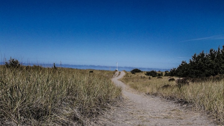 medium_image-1766440139057 image