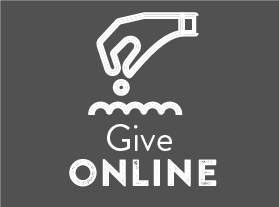 Give Online Button