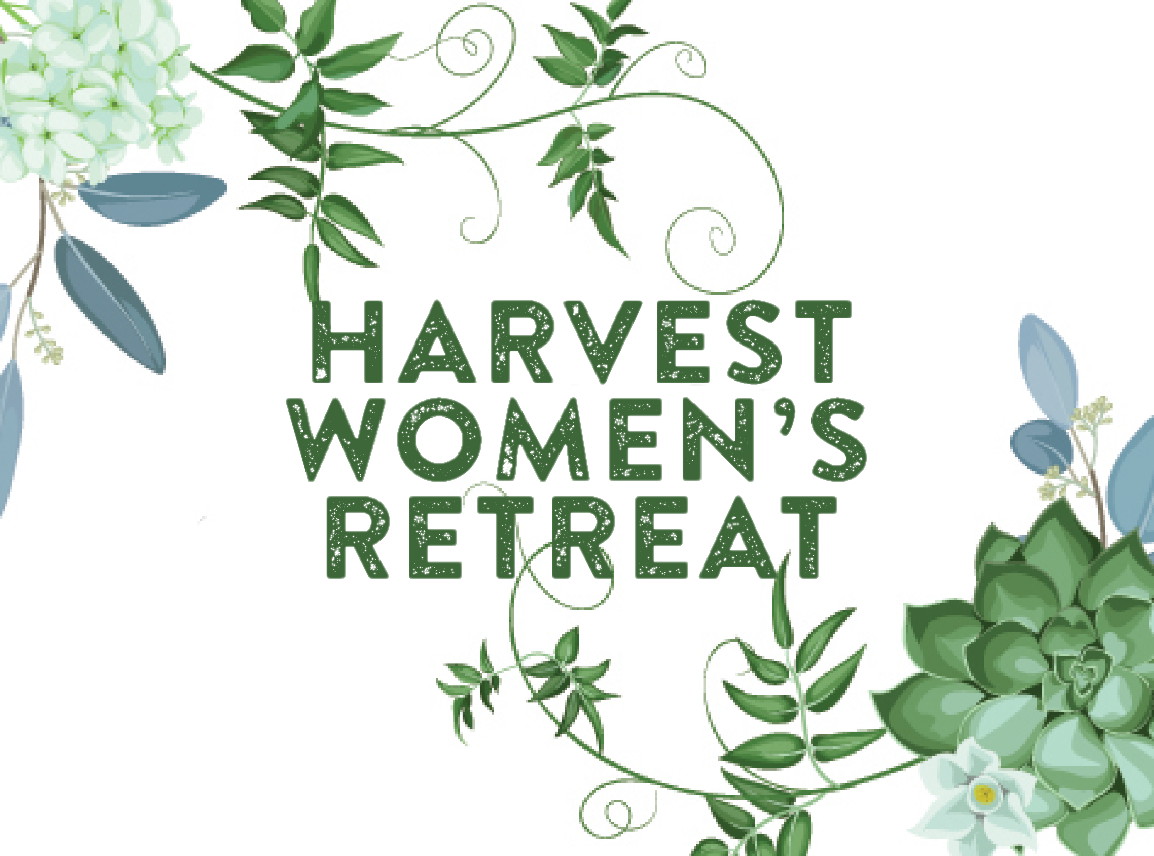 Harvest Womens Widget image