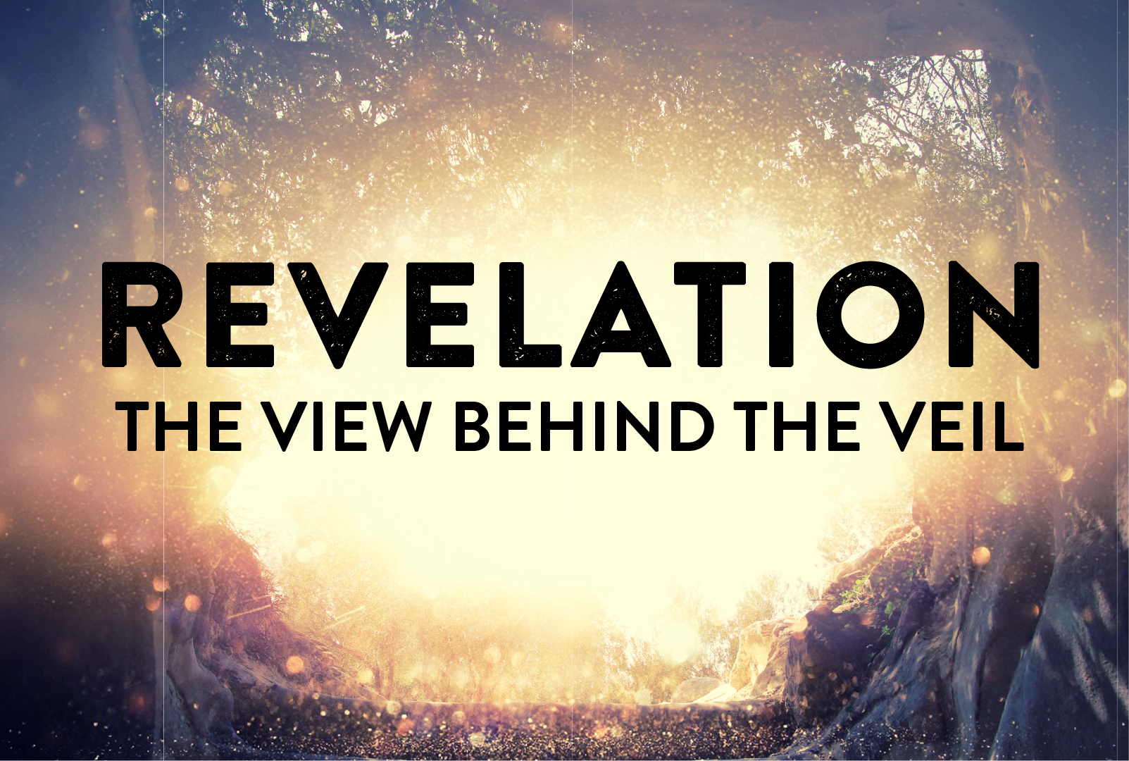 Revelation banner