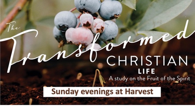 The Transformed Christian Life banner