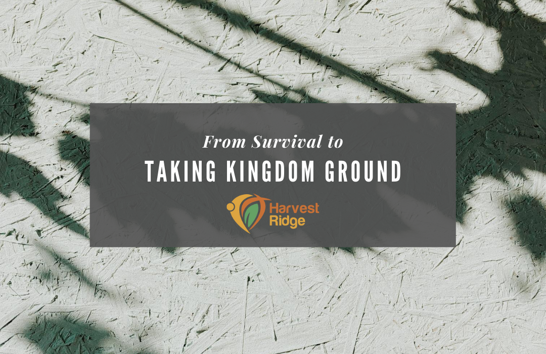 From Survival to Taking Kingdom Ground banner