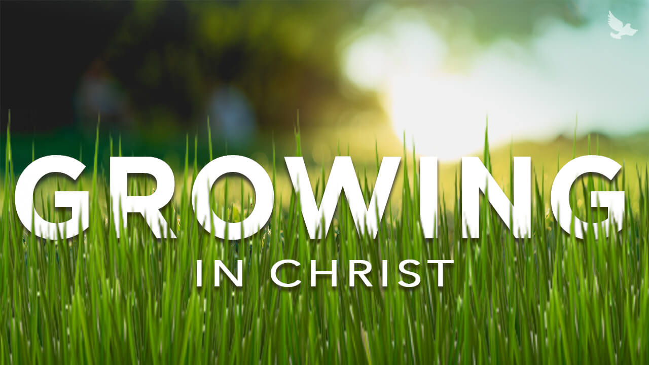Growing in Christ image