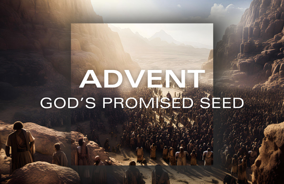 Advent: God's Promised Seed banner