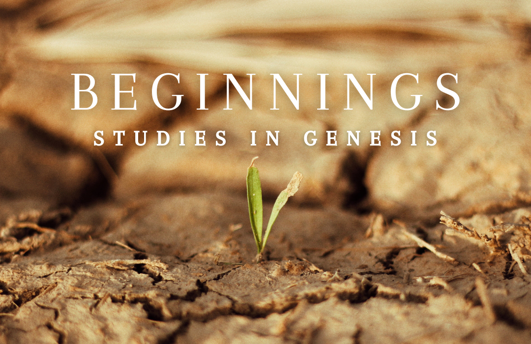 Beginnings:  Studies in Genesis banner