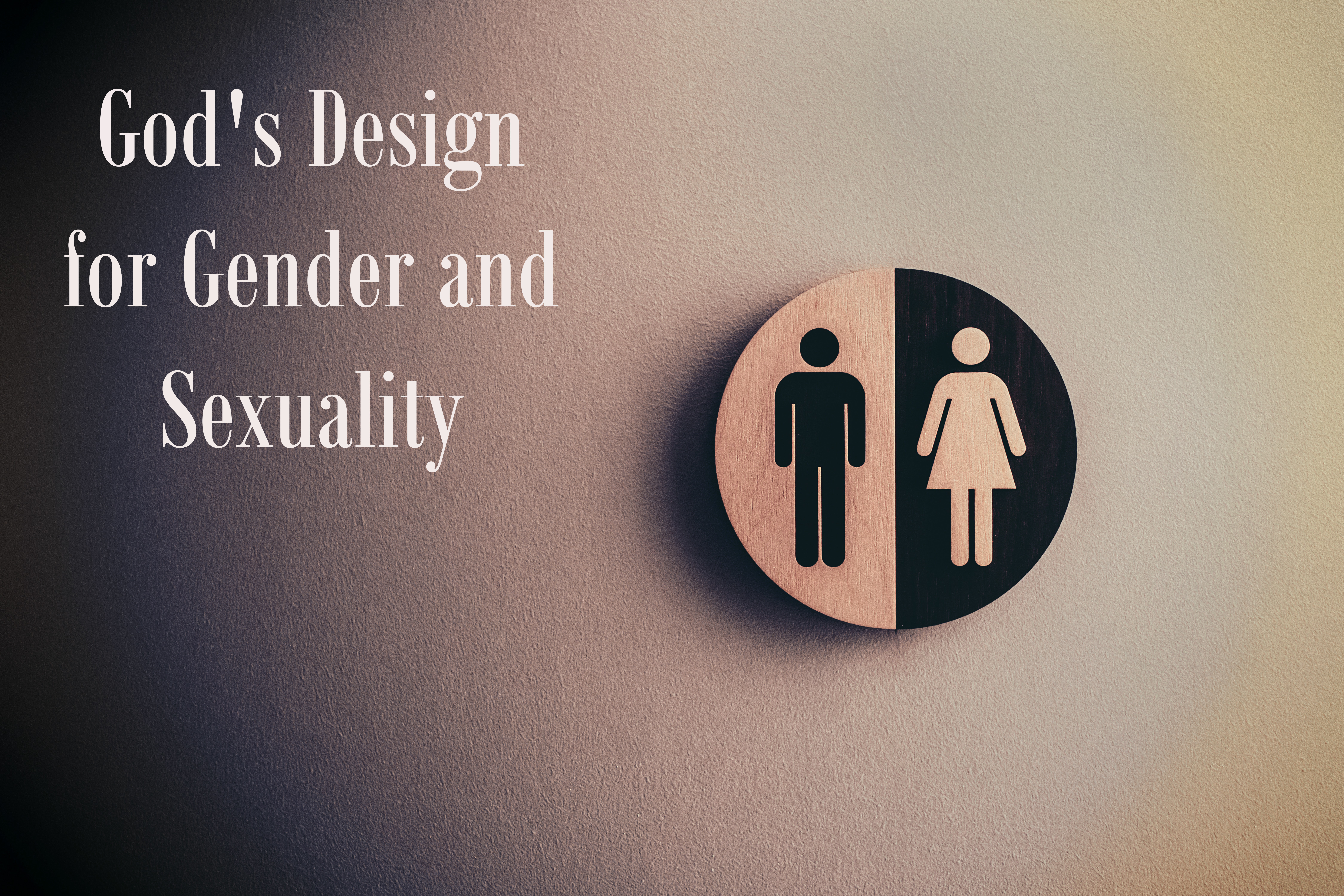 A Biblical View of Gender and Sexuality banner
