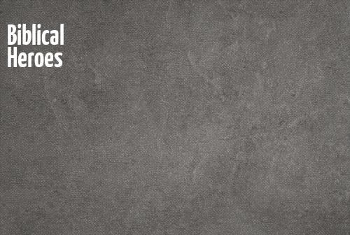 Biblical Heroes series image