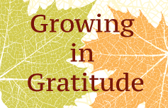 Growing in Gratitude banner
